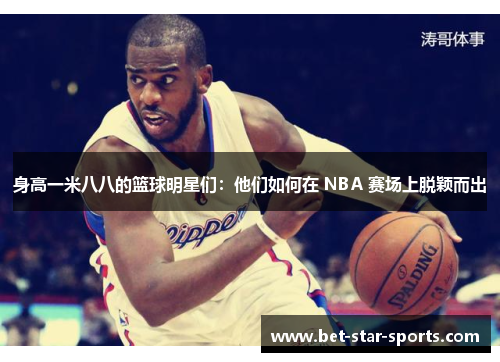 身高一米八八的篮球明星们：他们如何在 NBA 赛场上脱颖而出